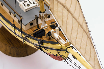 Model Shipways GLAD TIDINGS PINKY SCHOONER 1:24 SCALE